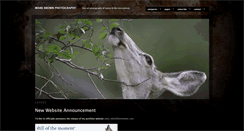 Desktop Screenshot of markbrownphoto.com